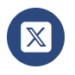 X icon X icon